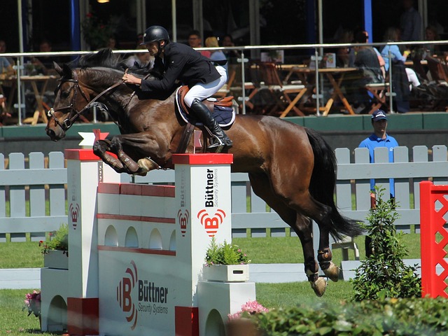 铂金球员在 铂金球员在