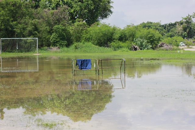 极大提高了 极大提高了