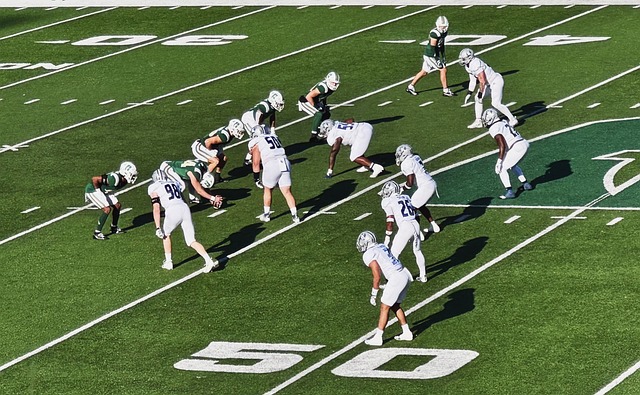 衡和高效 衡和高效