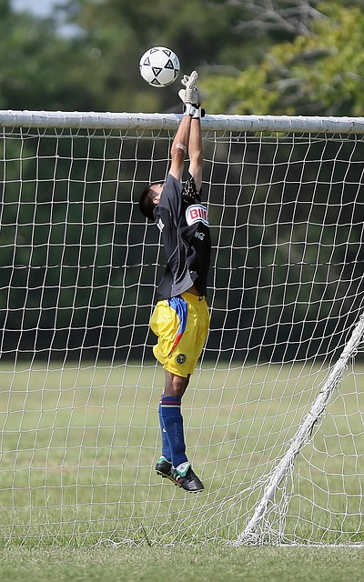 洋之路便是 洋之路便是