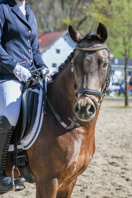 對球隊內部 對球隊內部